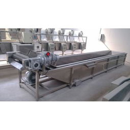 昊昌1000型蔬菜清洗機 高效潔凈，賦能食品加工新篇章